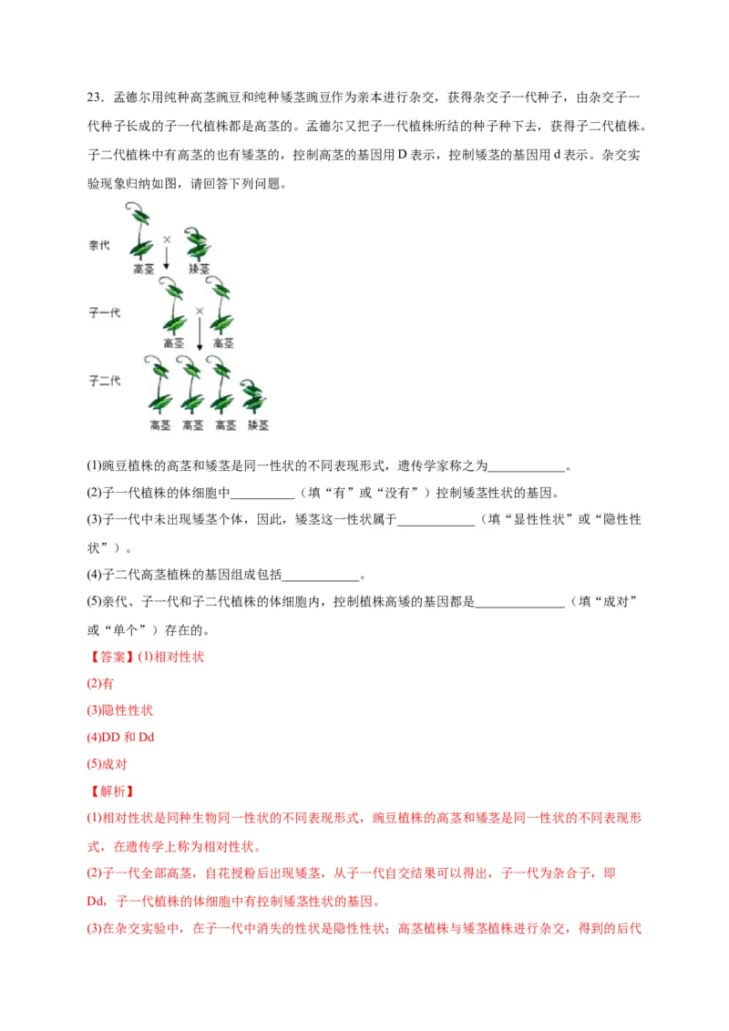 第二单元生物的遗传与变异（选拔卷）-单元测试（人教版）（解析版）_初中全科电子版试卷练习试题_生物_生物8下练习_人教生物8年级下单元试卷38份
