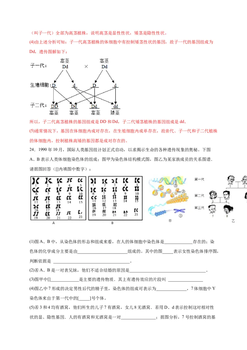第二单元生物的遗传与变异（选拔卷）-单元测试（人教版）（解析版）_初中全科电子版试卷练习试题_生物_生物8下练习_人教生物8年级下单元试卷38份