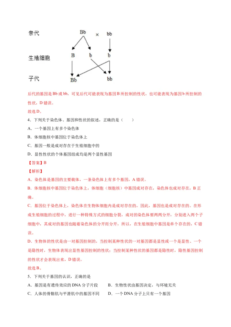 第二单元生物的遗传与变异（选拔卷）-单元测试（人教版）（解析版）_初中全科电子版试卷练习试题_生物_生物8下练习_人教生物8年级下单元试卷38份