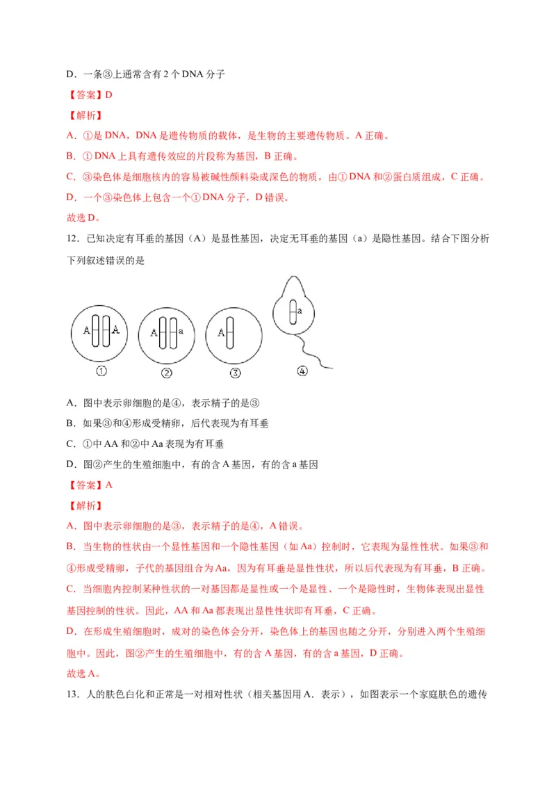第二单元生物的遗传与变异（选拔卷）-单元测试（人教版）（解析版）_初中全科电子版试卷练习试题_生物_生物8下练习_人教生物8年级下单元试卷38份