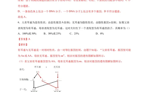 第二单元生物的遗传与变异（选拔卷）-单元测试（人教版）（解析版）_初中全科电子版试卷练习试题_生物_生物8下练习_人教生物8年级下单元试卷38份