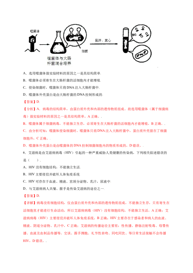 第五单元（第五章）病毒（提分小卷）-（人教版）（解析版）_初中全科电子版试卷练习试题_生物_生物8上练习_人教生物8年级上单元试卷48份