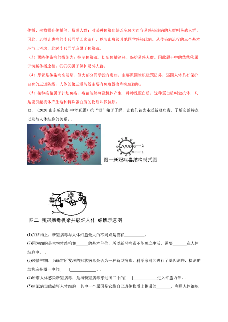 第五单元（第五章）病毒（提分小卷）-（人教版）（解析版）_初中全科电子版试卷练习试题_生物_生物8上练习_人教生物8年级上单元试卷48份