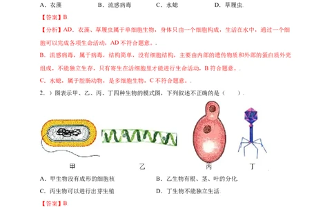 第五单元（第五章）病毒（提分小卷）-（人教版）（解析版）_初中全科电子版试卷练习试题_生物_生物8上练习_人教生物8年级上单元试卷48份
