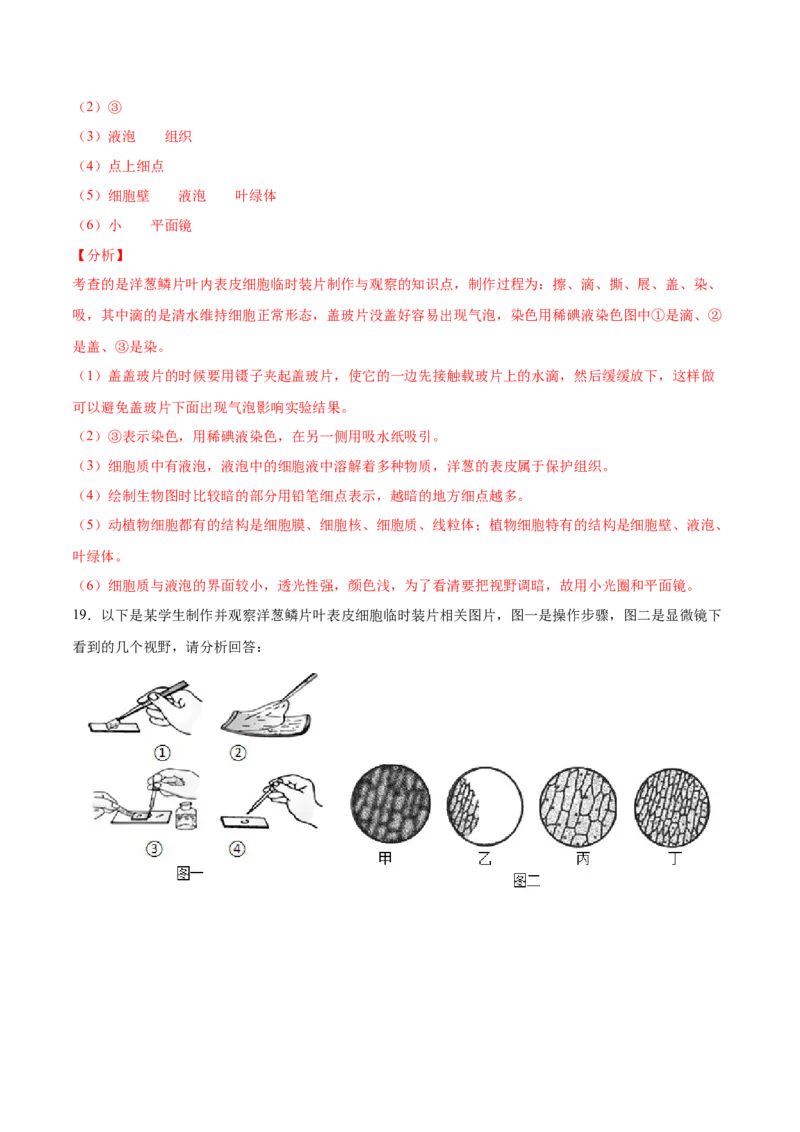 题型02（探究题）-（人教版）（解析版）_初中全科电子版试卷练习试题_生物_生物人教版7上练习&mdash;24新版已更新_人教生物7年级上专项练习28份