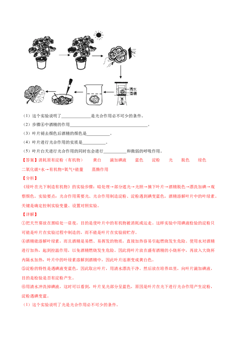 题型02（探究题）-（人教版）（解析版）_初中全科电子版试卷练习试题_生物_生物人教版7上练习&mdash;24新版已更新_人教生物7年级上专项练习28份