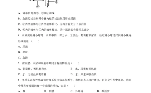 第五、六章人体内废物的排出和对生命活动的调节（能力提升）-（人教版）（原卷版）_初中全科电子版试卷练习试题_生物_生物人教版7下练习_人教生物7年级下单元试卷33份