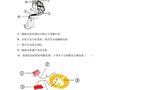 第五、六章人体内废物的排出和对生命活动的调节（能力提升）-（人教版）（原卷版）_初中全科电子版试卷练习试题_生物_生物人教版7下练习_人教生物7年级下单元试卷33份