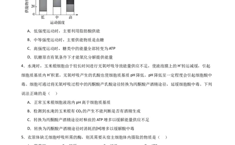 单元检测卷03细胞的能量供应和利用（原卷版）_新高考复习资料_2024年新高考复习资料_一轮复习资料_完2024年高考生物一轮复习考点通关卷（新高考）