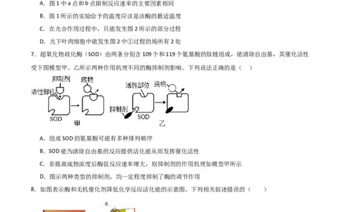 单元检测卷03细胞的能量供应和利用（原卷版）_新高考复习资料_2024年新高考复习资料_一轮复习资料_完2024年高考生物一轮复习考点通关卷（新高考）