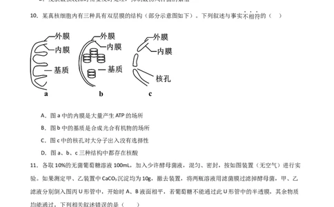 单元检测卷03细胞的能量供应和利用（原卷版）_新高考复习资料_2024年新高考复习资料_一轮复习资料_完2024年高考生物一轮复习考点通关卷（新高考）