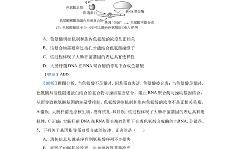 原创（新高考）2021届小题必练13遗传信息的表达教师版_新高考复习资料_2021年新高考资料_2021届（新高考）高考生物小题必练_原创（新高考）2021届小题必练13遗传信息的表达