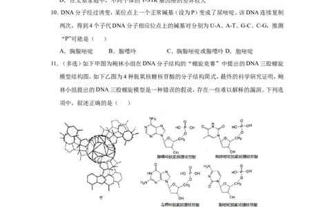 原创（新高考）2021届小题必练12遗传物质的探索DNA的结构和复制学生版_新高考复习资料_2021年新高考资料_2021届（新高考）高考生物小题必练