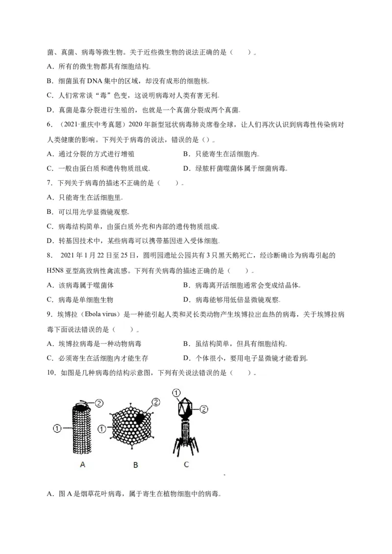 第五单元（第五章）病毒（选拔卷）-（人教版）（原卷版）_初中全科电子版试卷练习试题_生物_生物8上练习_人教生物8年级上单元试卷48份