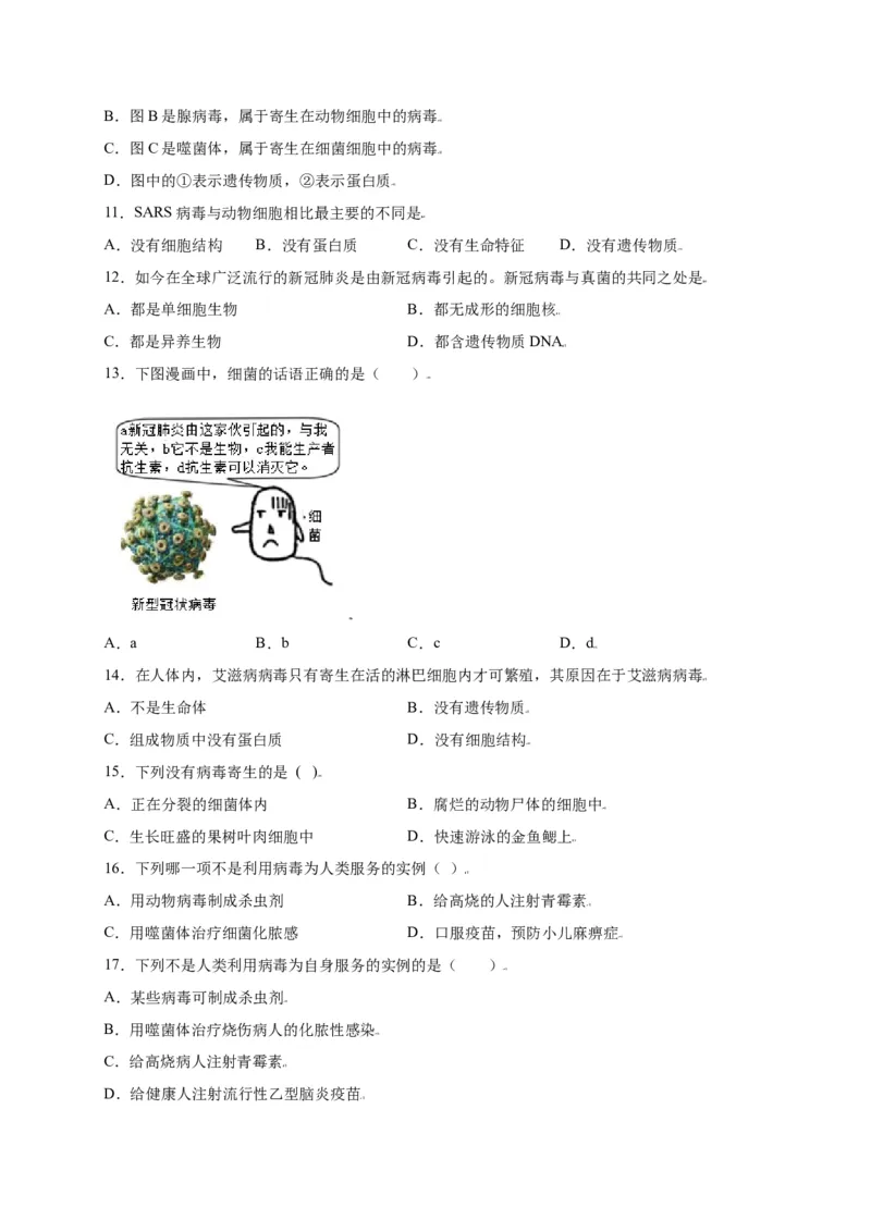 第五单元（第五章）病毒（选拔卷）-（人教版）（原卷版）_初中全科电子版试卷练习试题_生物_生物8上练习_人教生物8年级上单元试卷48份