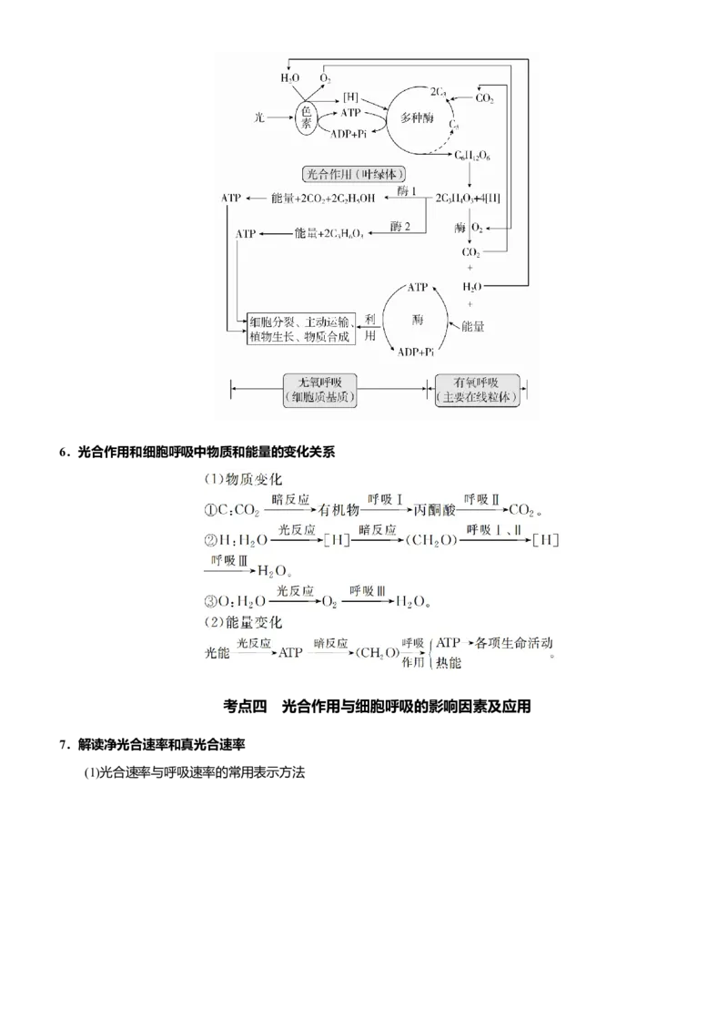 原创（新高考）2021届高考二轮精品专题三细胞的能量供应和利用教师版_新高考复习资料_2021年新高考资料_2021届（新高考）生物二轮精品专题