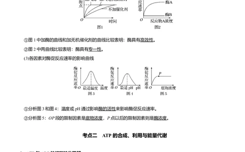 原创（新高考）2021届高考二轮精品专题三细胞的能量供应和利用教师版_新高考复习资料_2021年新高考资料_2021届（新高考）生物二轮精品专题