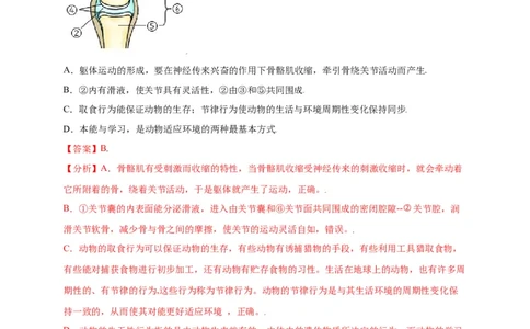 第五单元（第二章）动物的运动和行为（选拔卷）-（人教版）（解析版）_初中全科电子版试卷练习试题_生物_生物8上练习_人教生物8年级上单元试卷48份