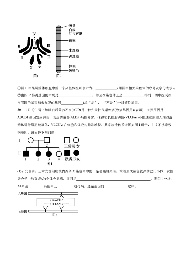 单元检测卷05基因的传递规律（原卷版）_2025年新高考资料_一轮复习_2025年高考生物一轮复习考点通关卷（新高考通用）
