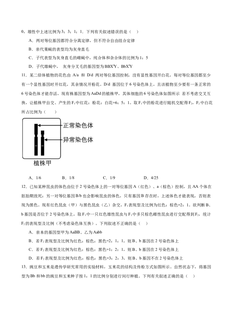 单元检测卷05基因的传递规律（原卷版）_2025年新高考资料_一轮复习_2025年高考生物一轮复习考点通关卷（新高考通用）