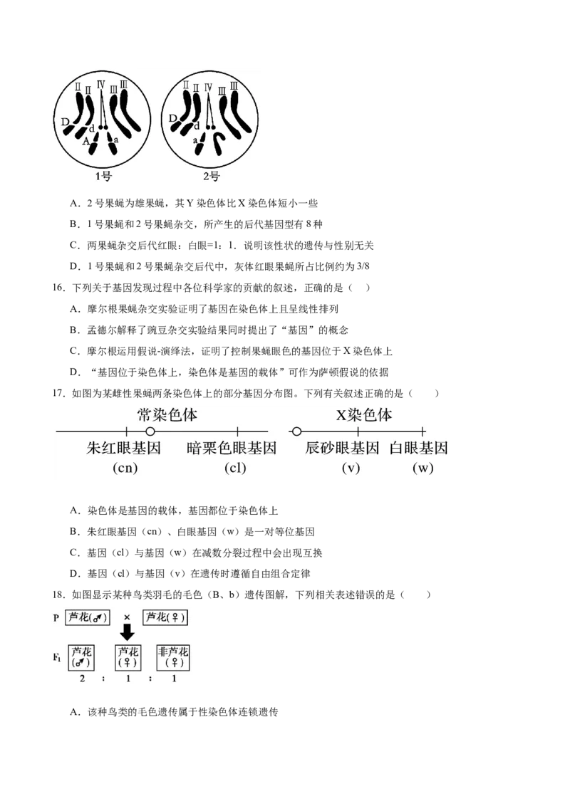 单元检测卷05基因的传递规律（原卷版）_2025年新高考资料_一轮复习_2025年高考生物一轮复习考点通关卷（新高考通用）