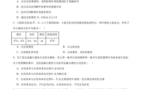 单元检测卷05基因的传递规律（原卷版）_2025年新高考资料_一轮复习_2025年高考生物一轮复习考点通关卷（新高考通用）
