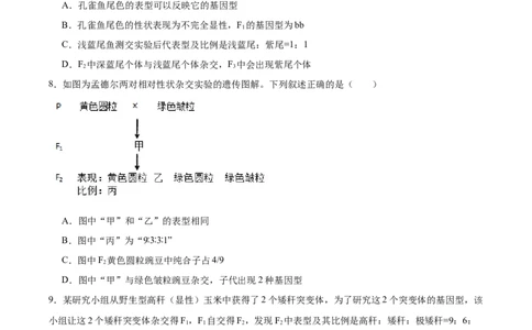 单元检测卷05基因的传递规律（原卷版）_2025年新高考资料_一轮复习_2025年高考生物一轮复习考点通关卷（新高考通用）