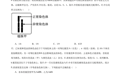 单元检测卷05基因的传递规律（原卷版）_2025年新高考资料_一轮复习_2025年高考生物一轮复习考点通关卷（新高考通用）