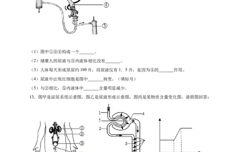 第五单元人体内废物的排出（提分小卷）-单元测试（人教版）（原卷版）_初中全科电子版试卷练习试题_生物_生物人教版7下练习_人教生物7年级下单元试卷33份