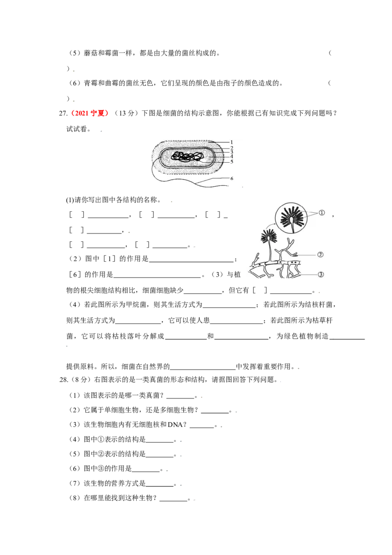 第四章细菌和真菌真题模拟练-（人教版）（原卷版）_初中全科电子版试卷练习试题_生物_生物8上练习_人教生物8年级上单元试卷48份