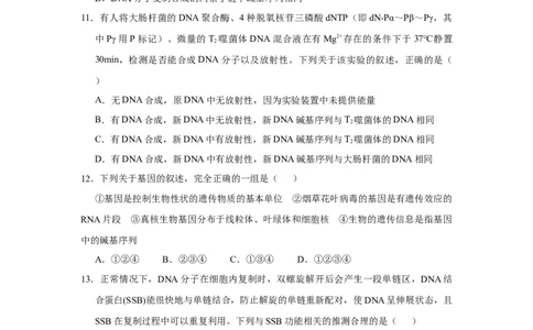 原创2021届小题必练12遗传物质的探索DNA的结构和复制学生版_通用版（老高考）复习资料_2023年复习资料_专项复习_2023《微专题&middot;小练习》&middot;生物_模拟题_2021届小题优练-生物
