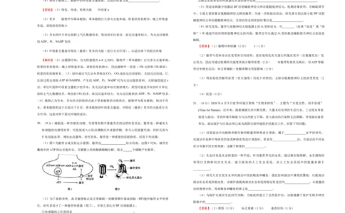 原创2021届好教育云平台泄露天机高考押题卷生物教师版_通用版（老高考）复习资料_2023年复习资料_专项复习_2023《微专题&middot;小练习》&middot;生物_模拟题_2021泄露天机高考押题卷