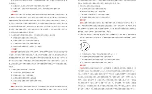 原创（新高考）2021届高考考前冲刺卷生物（九）教师版_新高考复习资料_2021年新高考资料_2021届高考考前冲刺卷（新高考）5.31更新