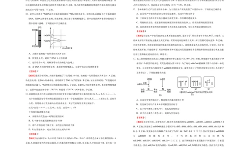 原创（新高考）2021届高考考前冲刺卷生物（八）教师版_新高考复习资料_2021年新高考资料_2021届高考考前冲刺卷（新高考）5.31更新