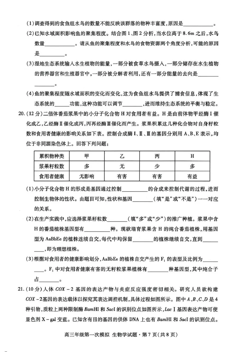 2026届甘肃省高三第一次模拟考试生物试题（含答案）_2024-2026高三（6-6月题库）_2026年03月高三试卷_260314甘肃省2026届高三第一次模拟考试