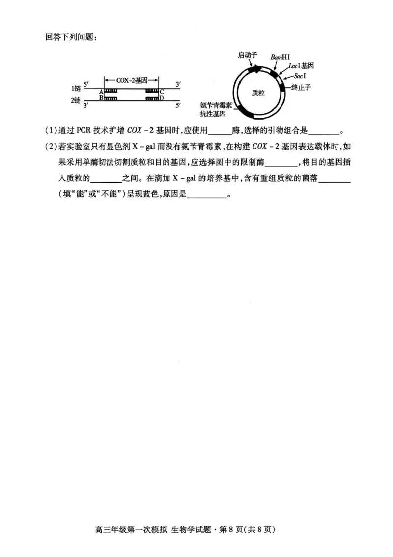2026届甘肃省高三第一次模拟考试生物试题（含答案）_2024-2026高三（6-6月题库）_2026年03月高三试卷_260314甘肃省2026届高三第一次模拟考试