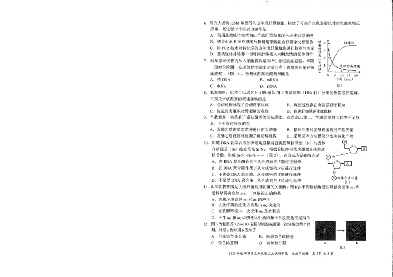 2026深圳二模生物试题_2024-2026高三（6-6月题库）_2026年04月高三试卷_260425广东省深圳市2026届高三下学期第二次调研考试（全科）（深圳二模）