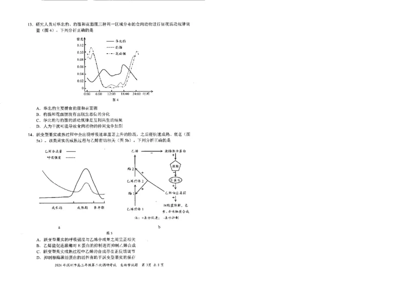 2026深圳二模生物试题_2024-2026高三（6-6月题库）_2026年04月高三试卷_260425广东省深圳市2026届高三下学期第二次调研考试（全科）（深圳二模）