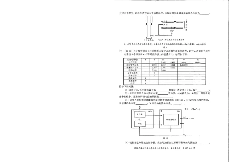 2026深圳二模生物试题_2024-2026高三（6-6月题库）_2026年04月高三试卷_260425广东省深圳市2026届高三下学期第二次调研考试（全科）（深圳二模）