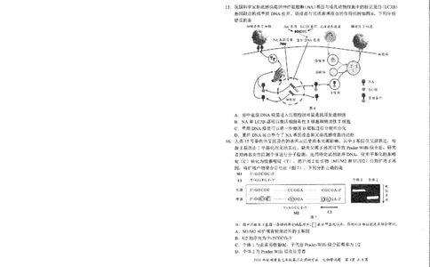 2026深圳二模生物试题_2024-2026高三（6-6月题库）_2026年04月高三试卷_260425广东省深圳市2026届高三下学期第二次调研考试（全科）（深圳二模）