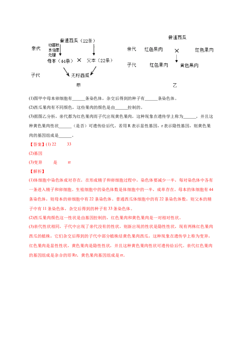 第二单元生物的遗传与变异（提分小卷）-单元测试（人教版）（解析版）_初中全科电子版试卷练习试题_生物_生物8下练习_人教生物8年级下单元试卷38份