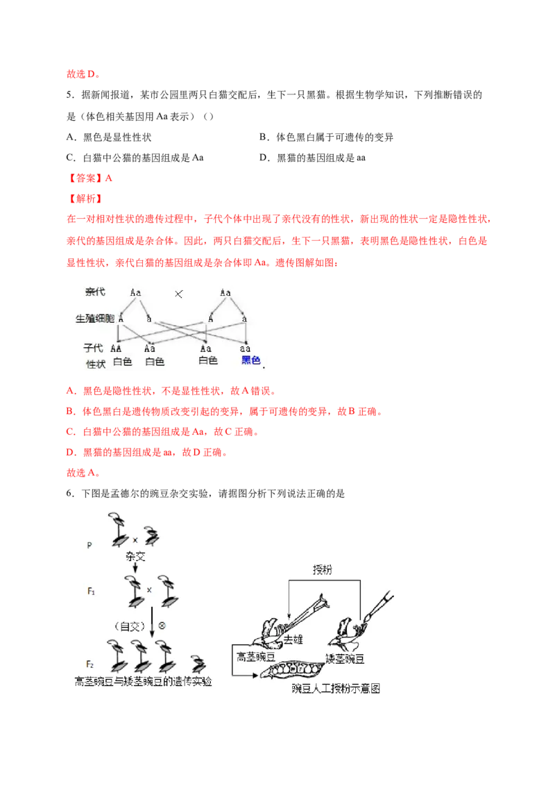 第二单元生物的遗传与变异（提分小卷）-单元测试（人教版）（解析版）_初中全科电子版试卷练习试题_生物_生物8下练习_人教生物8年级下单元试卷38份