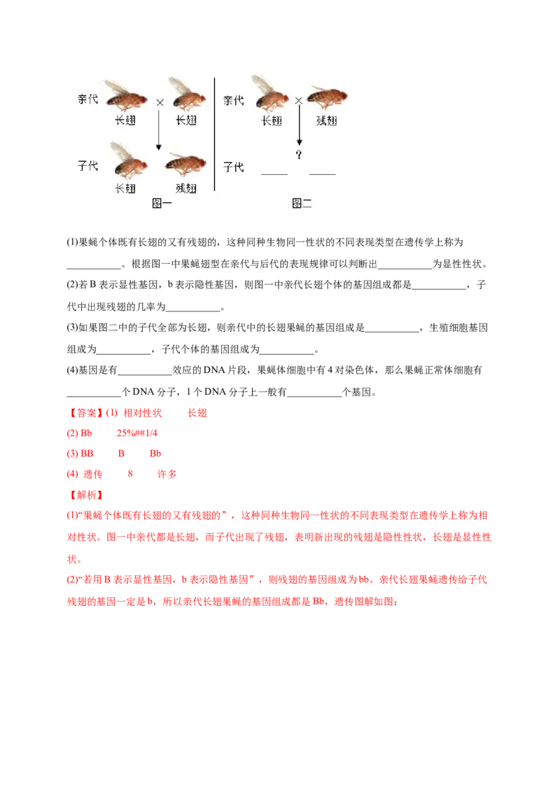 第二单元生物的遗传与变异（提分小卷）-单元测试（人教版）（解析版）_初中全科电子版试卷练习试题_生物_生物8下练习_人教生物8年级下单元试卷38份