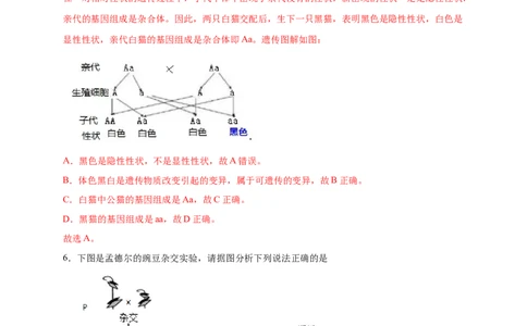 第二单元生物的遗传与变异（提分小卷）-单元测试（人教版）（解析版）_初中全科电子版试卷练习试题_生物_生物8下练习_人教生物8年级下单元试卷38份
