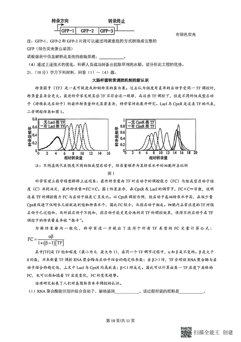 2026北京丰台高三一模生物试题及答案_2024-2026高三（6-6月题库）_2026年04月高三试卷_2604182026北京丰台高三一模（全科）