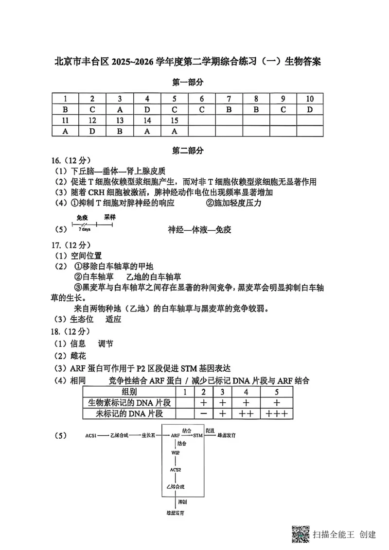 2026北京丰台高三一模生物试题及答案_2024-2026高三（6-6月题库）_2026年04月高三试卷_2604182026北京丰台高三一模（全科）