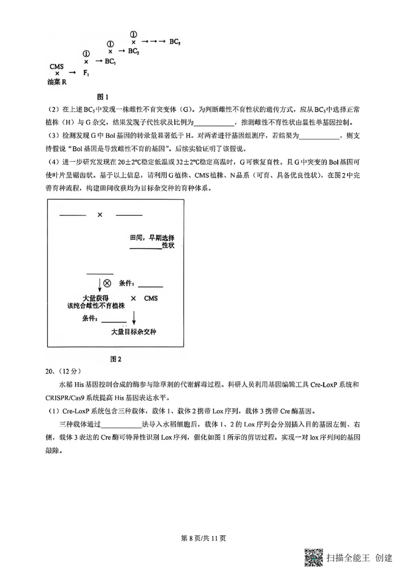 2026北京丰台高三一模生物试题及答案_2024-2026高三（6-6月题库）_2026年04月高三试卷_2604182026北京丰台高三一模（全科）