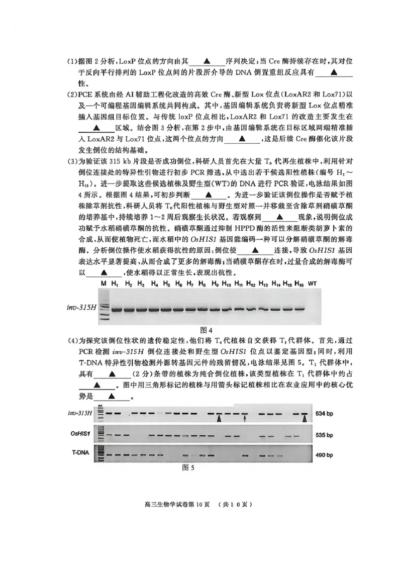 2026届江苏省南京市、盐城市高三一模生物卷（含答案）_2024-2026高三（6-6月题库）_2026年03月高三试卷_2603282026届江苏省南京市、盐城市高三一模（全科）