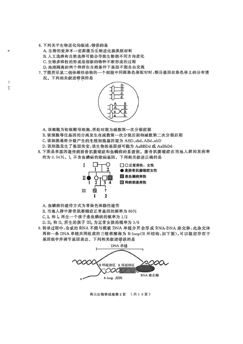 2026届江苏省南京市、盐城市高三一模生物卷（含答案）_2024-2026高三（6-6月题库）_2026年03月高三试卷_2603282026届江苏省南京市、盐城市高三一模（全科）