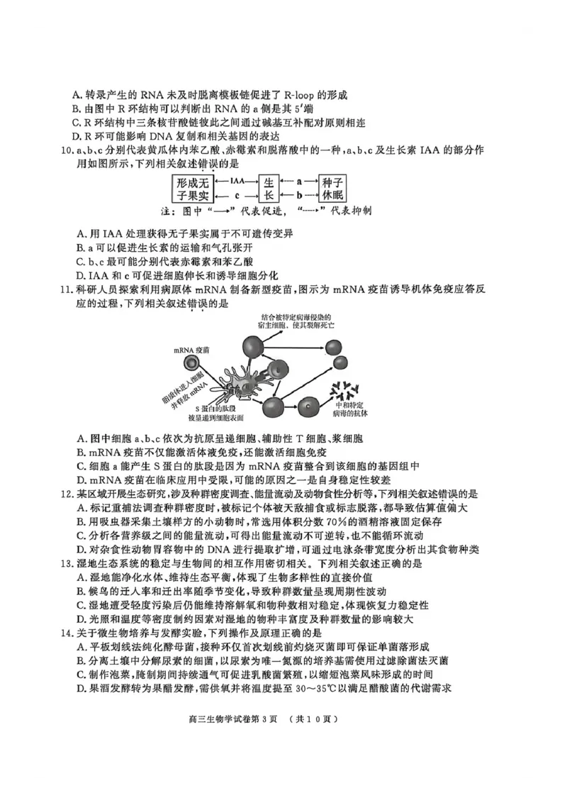 2026届江苏省南京市、盐城市高三一模生物卷（含答案）_2024-2026高三（6-6月题库）_2026年03月高三试卷_2603282026届江苏省南京市、盐城市高三一模（全科）